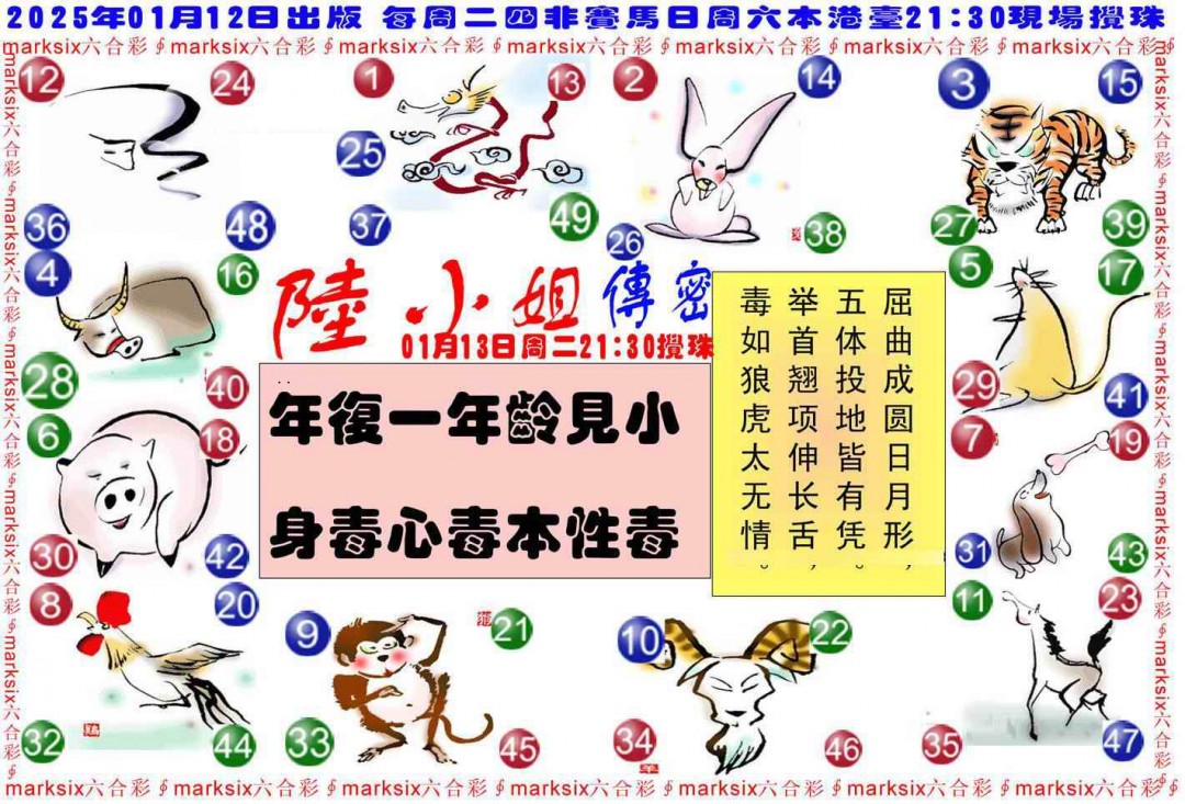 2025005期陆小姐传密B