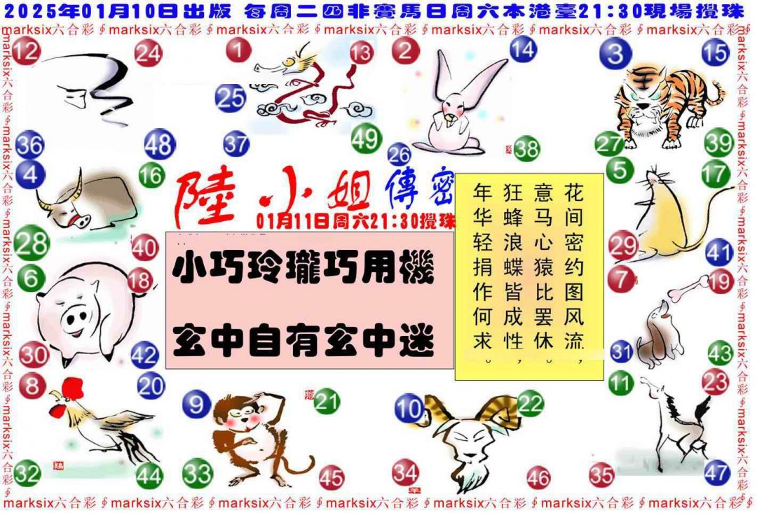 2025004期陆小姐传密B