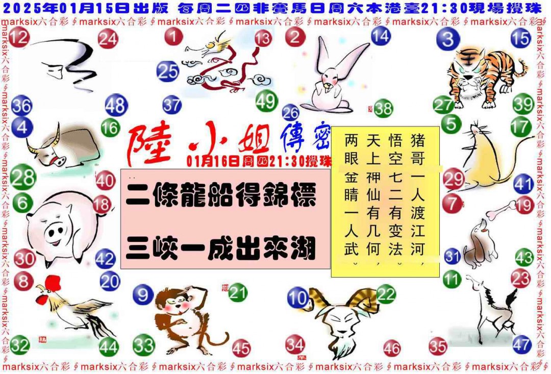 2025006期陆小姐传密B