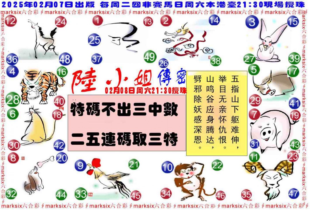 2025014期陆小姐传密B