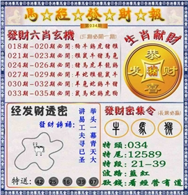 马经发财报（荐）