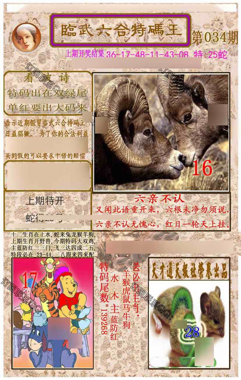 2025034期临武六合特码王