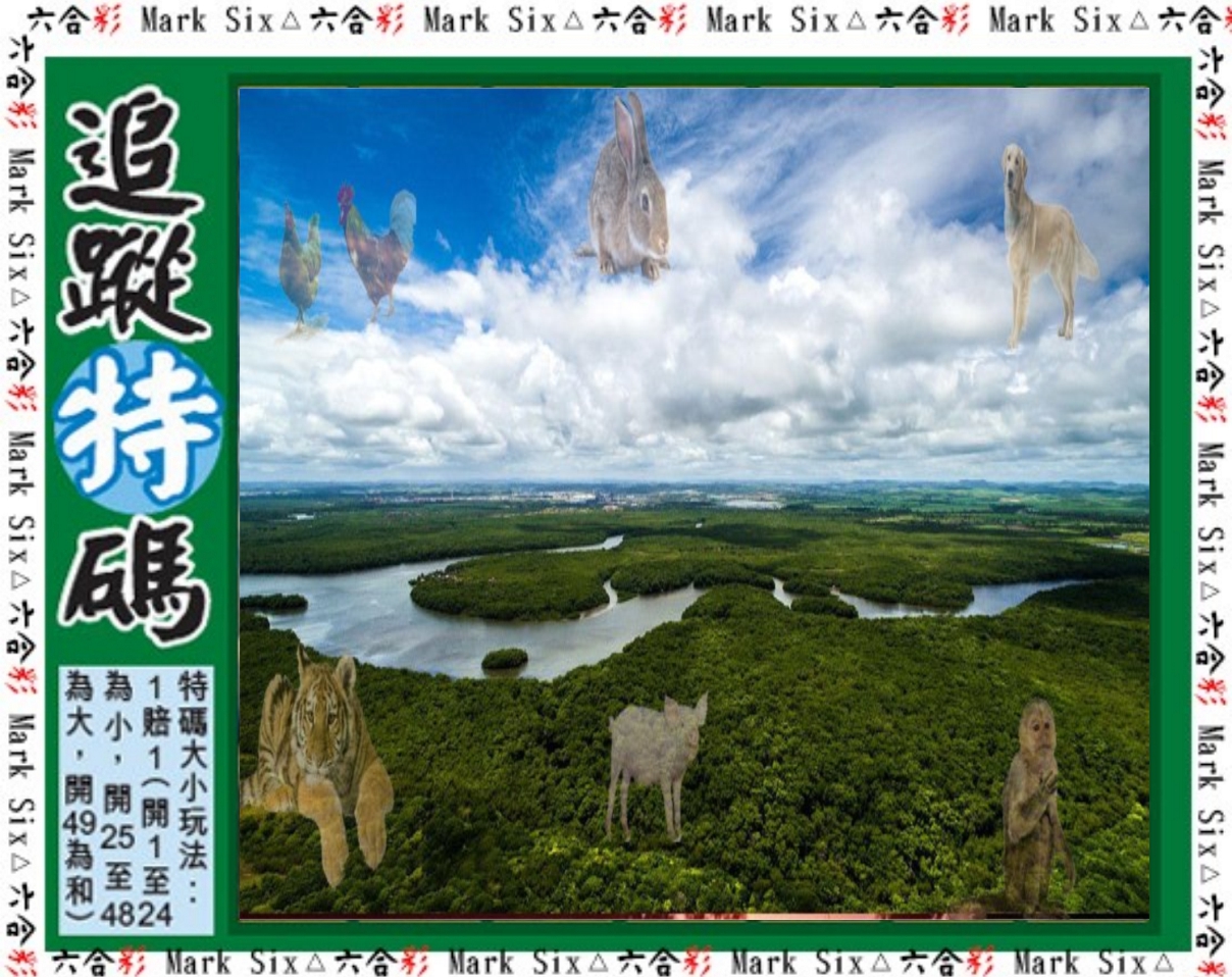 2025035期追踪特码