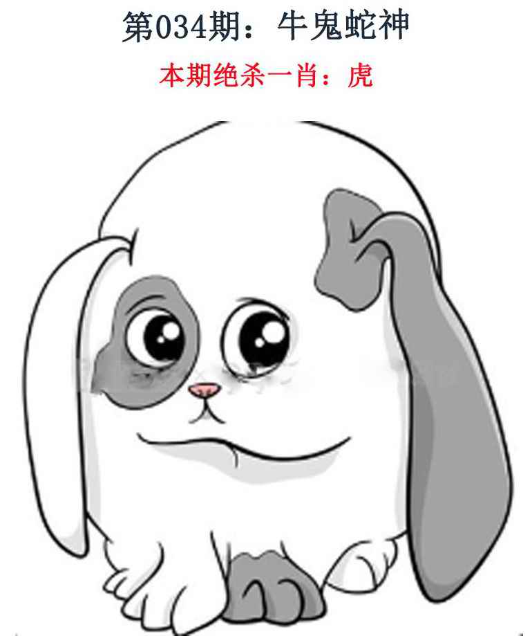 2025034期金钱豹自有真功夫
