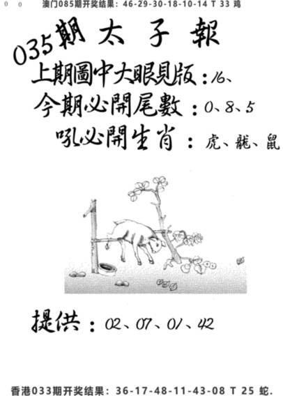 2025035期老版太子报