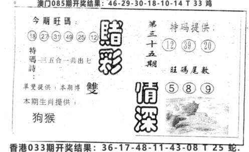 2025035期赌彩情深A