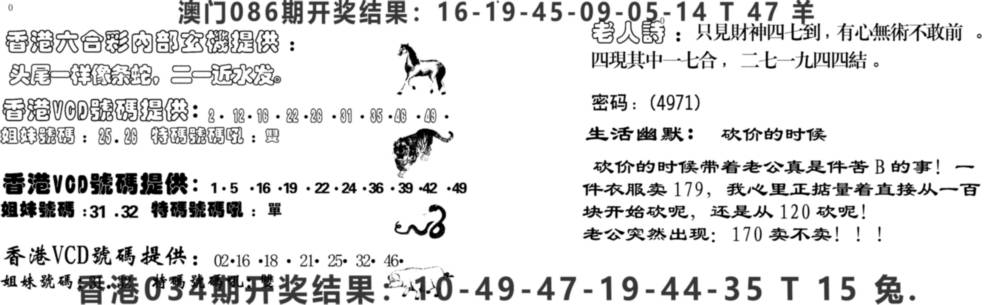 2025035期当日跑狗