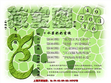 (水果奶奶藏宝图)正版