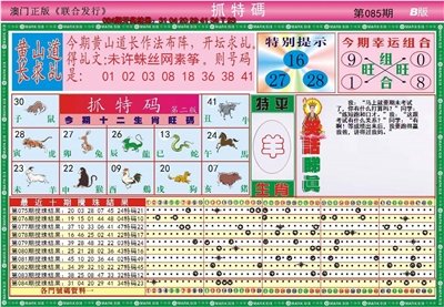 澳门抓特码B