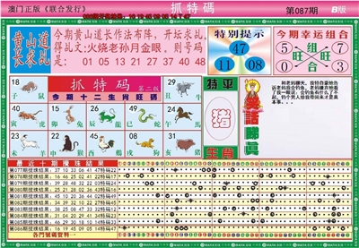 澳门抓特码B
