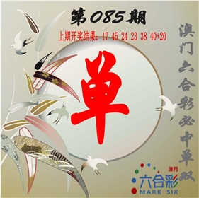 单双中特图
