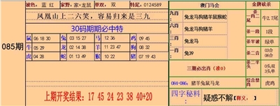 30码中特