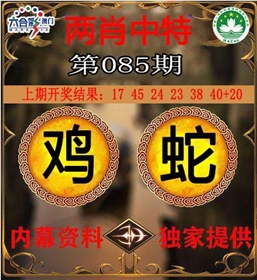 两肖中特